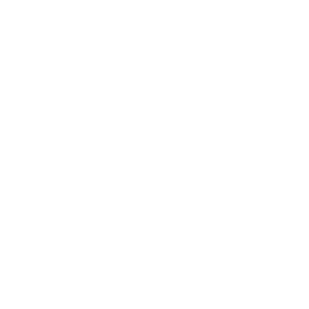 Fannie-Mae.png